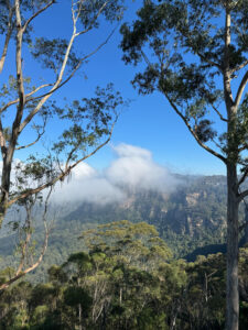 Blue Mountains