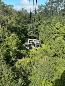 Blue Mountains kaapelivaunu