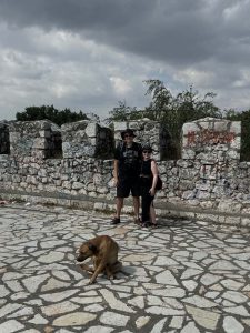 Ne Tammelat ja koiraopas