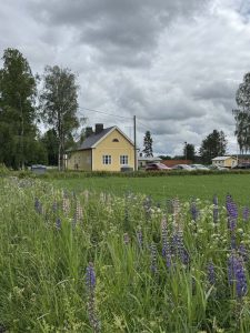 Häntälän kyläkeskuksen rakennuksessa toimii kahvila. Keskukselta on lyhyt matka reitille joka johtaa läpi Häntälän notkojen.