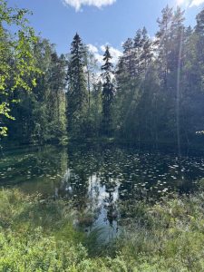 Poukama Iso-Valkeella Somerolla