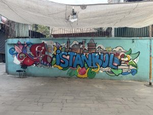 Tämä komea Istanbul-muraali löytyi aivan sattumalta erään kapean ja sokkeloisen umpikujan perältä.