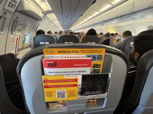 Pegasus Airlines Airbus 321