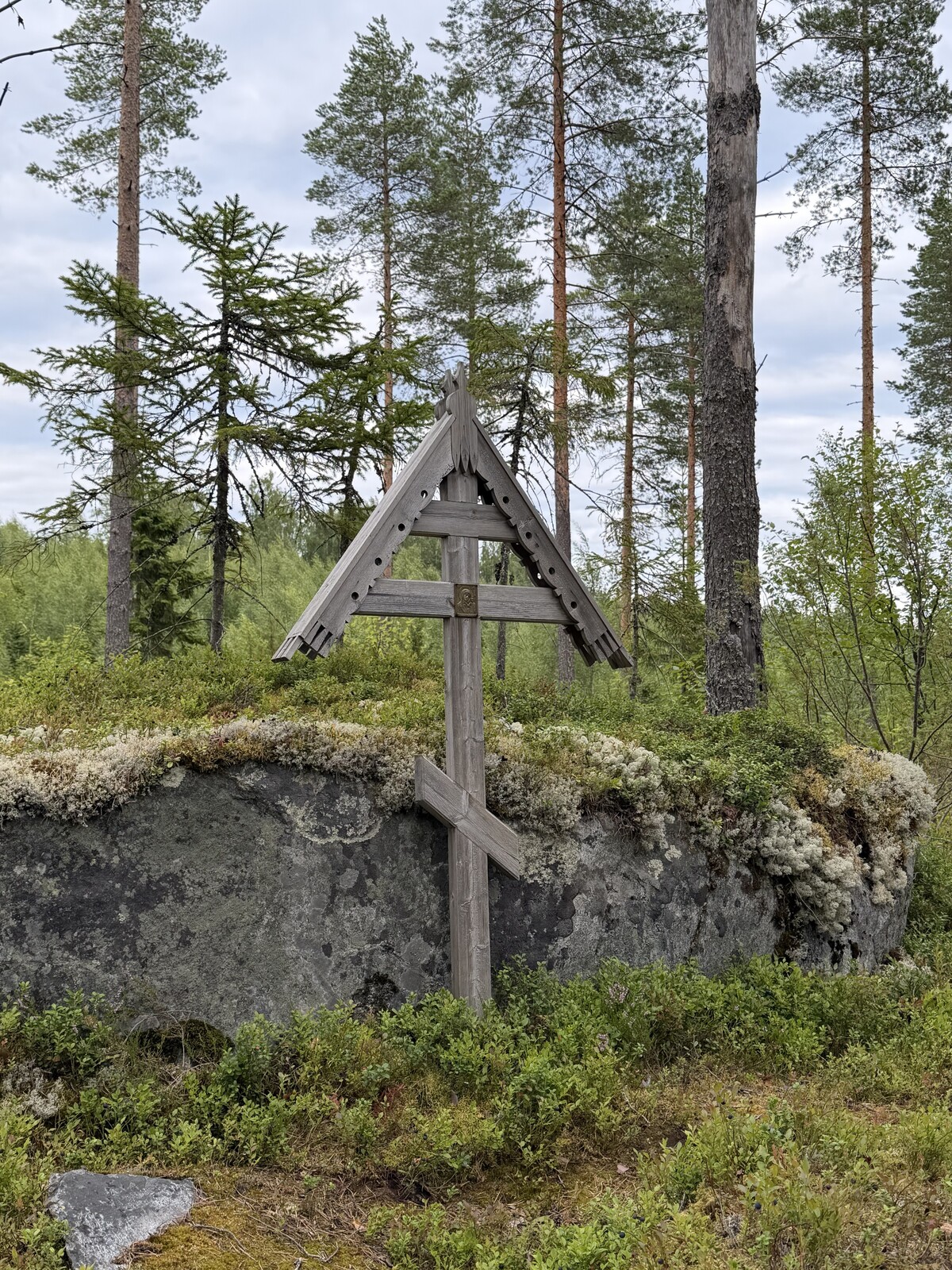 Susi- ja karhukojuilla Kuhmossa 10