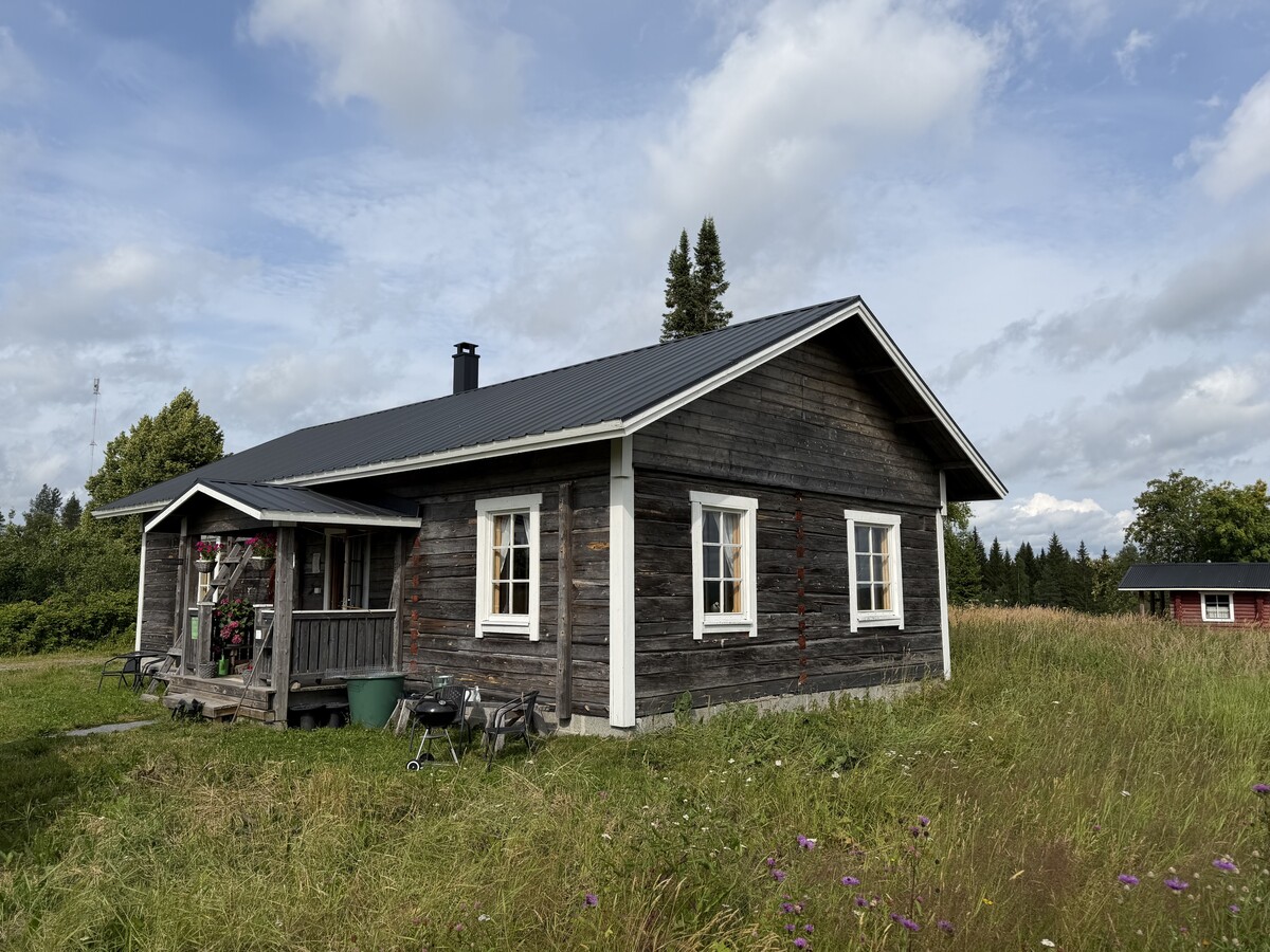Susi- ja karhukojuilla Kuhmossa 4