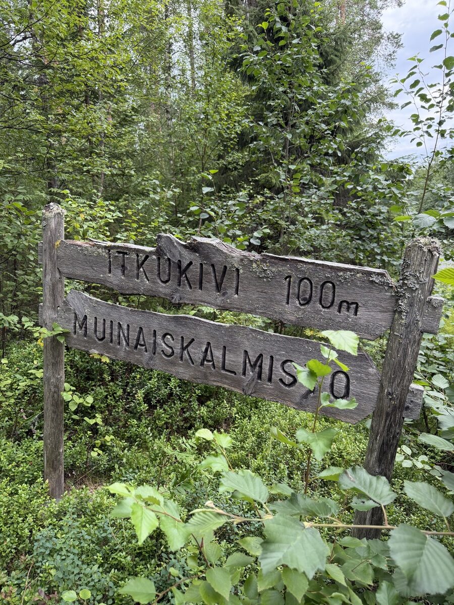 Susi- ja karhukojuilla Kuhmossa 9