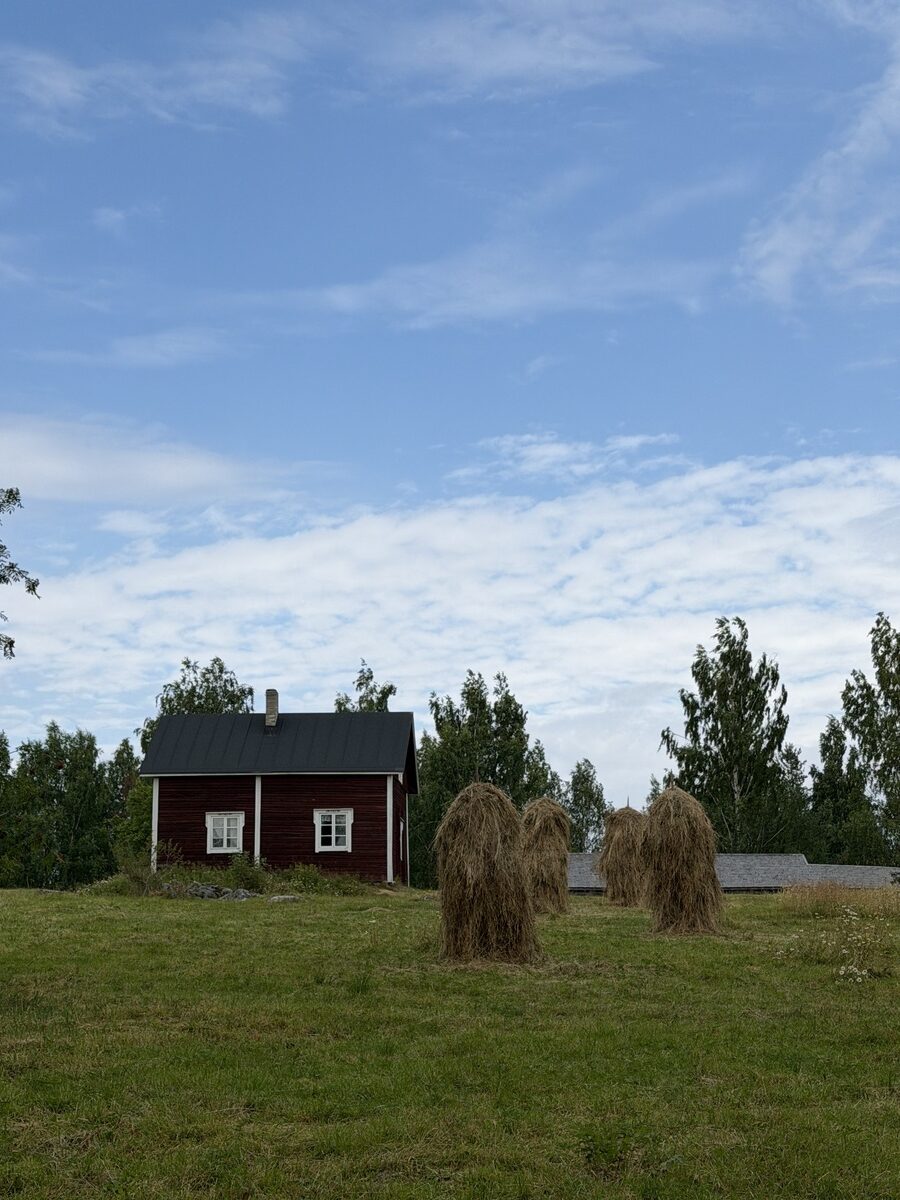 Susi- ja karhukojuilla Kuhmossa 39
