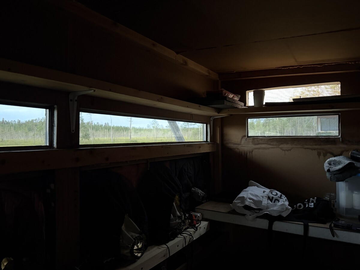 Susi- ja karhukojuilla Kuhmossa 33