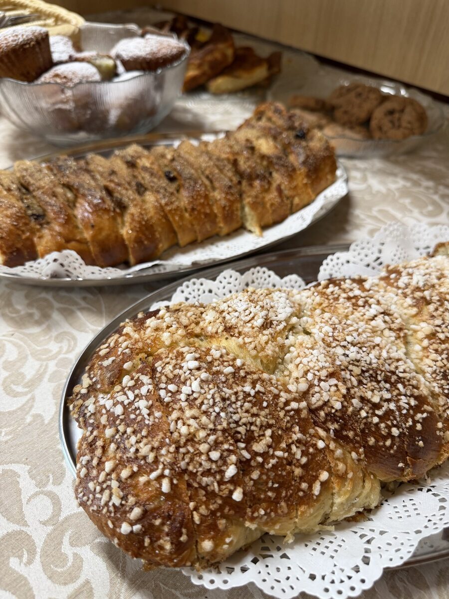 Susi- ja karhukojuilla Kuhmossa 14