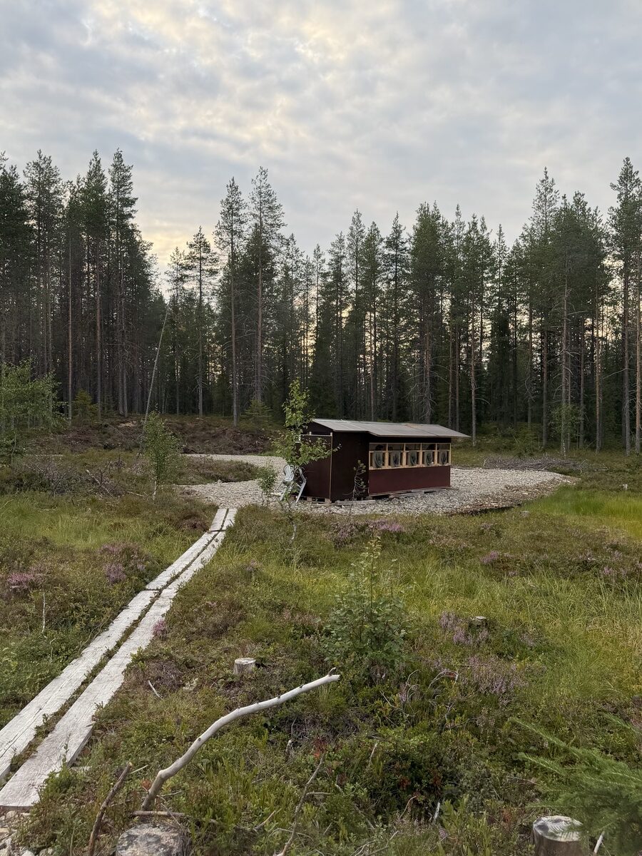 Susi- ja karhukojuilla Kuhmossa 54